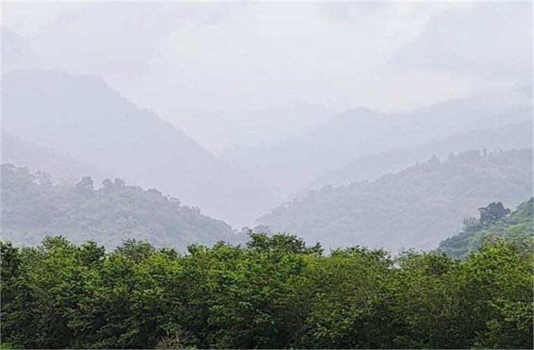 उत्तराखंड अगले 72 घंटे में मौसम बिगड़ेगा, मौसम विभाग ने की बड़ी भविष्यवाणी