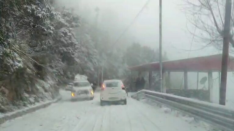 मसूरी के पास धनौल्टी में बिछी बर्फ की सफेद चादर, पर्यटन कारोबारियों के खिले चेहरे