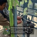 hindi-news-28.jpg