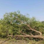 hindi-news-27.jpg
