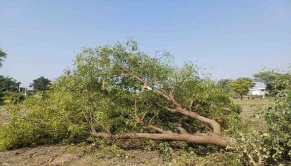 hindi-news-27.jpg